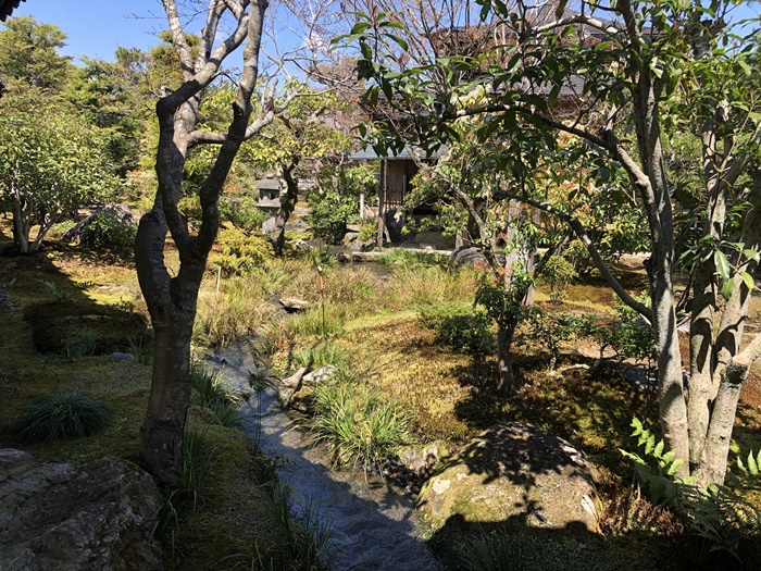 天龍寺の庭園